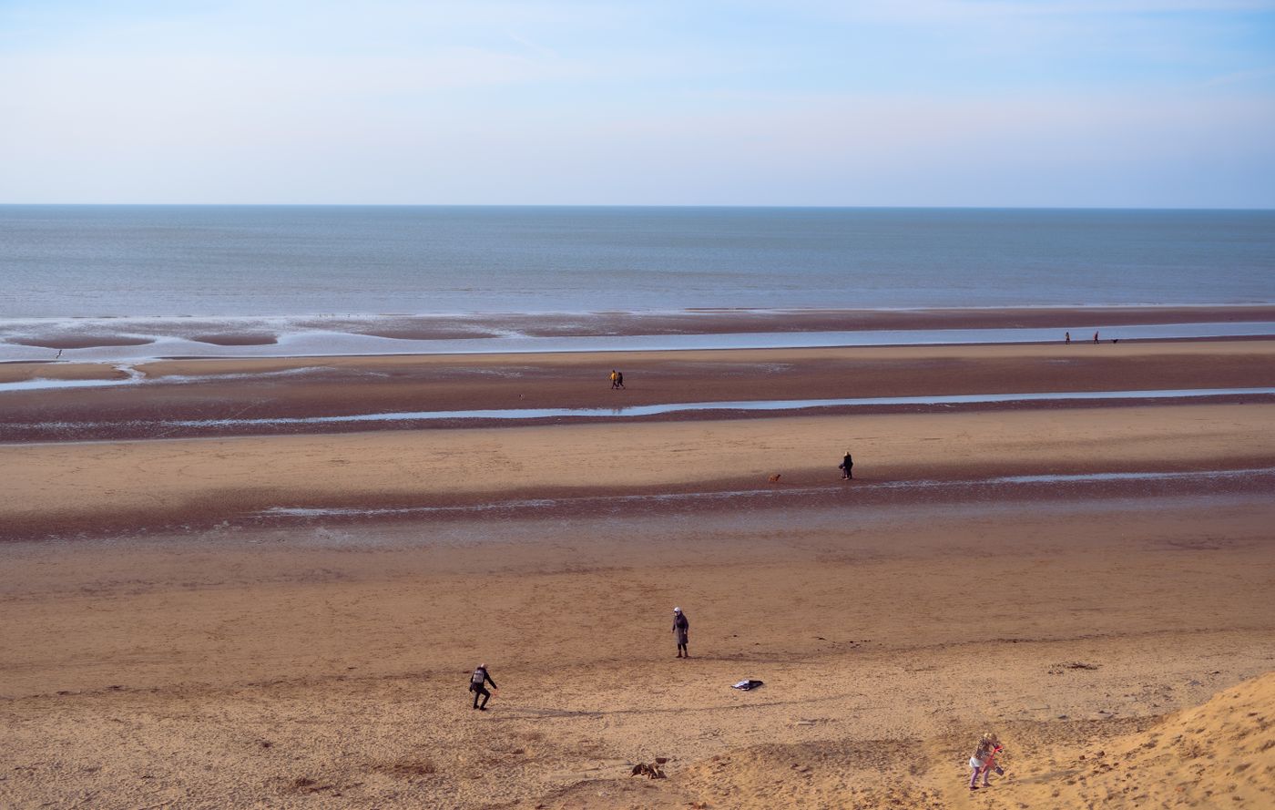 Wide sand flats and channels are exposed along a beach at low tide.