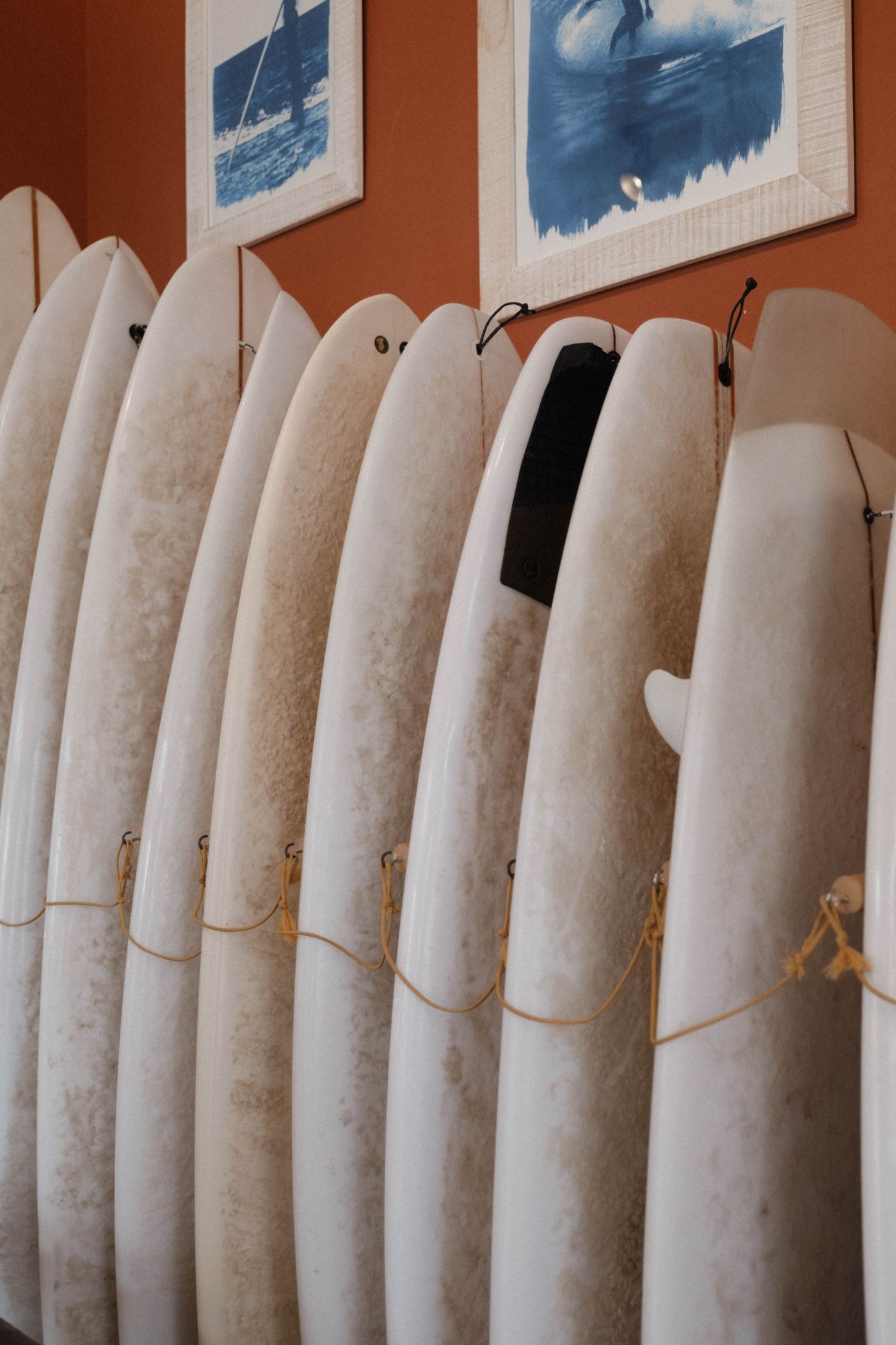 White surfboards of different lengths and outlines stand inside a surf shop.