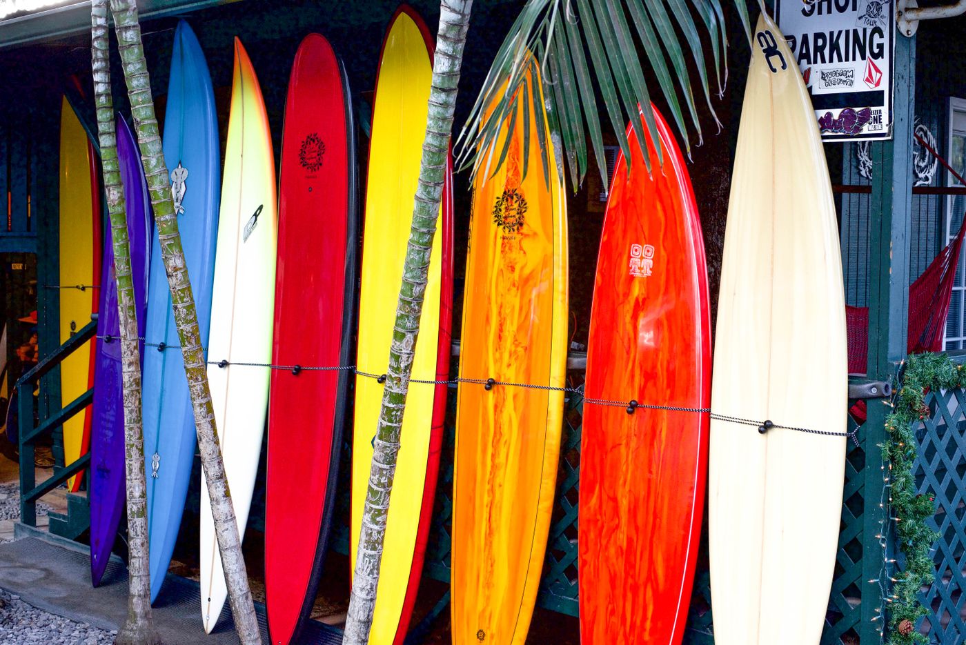 Colourful surfboards with contrasting rounded and pointed noses stand outside a shop.