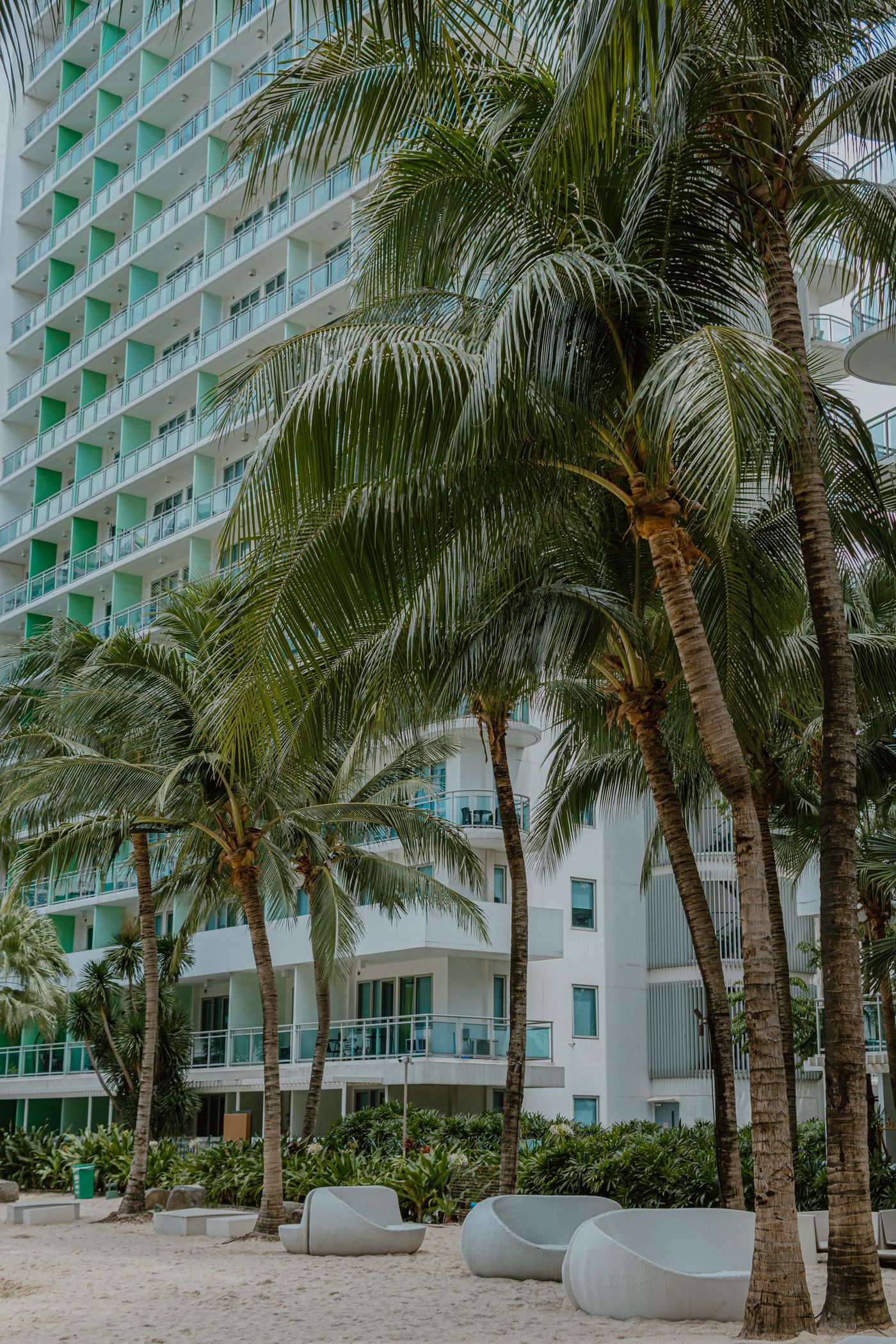 Palm trees stand between a beachfront hotel and a sandy coastal area.